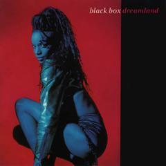 I Don't Know Anybody Else von Black Box (Download) 