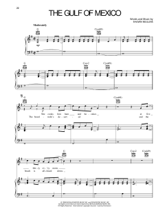 The Gulf Of Mexico von Shawn Mullins (Download) 