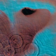 Fearless von Pink Floyd (Download) 