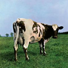 Fat Old Sun von Pink Floyd (Download) 