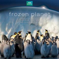 Frozen Planet, Narwhals von George Fenton (Download) 
