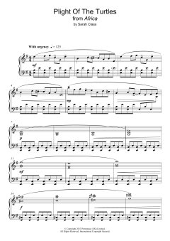Plight Of The Turtles von Sarah Class (Download) 