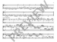 Sämtliche Orgelwerke: Mitteldeutsche Orgelmeister Band 5 von Nikolaus Vetter im Alle Noten Shop kaufen