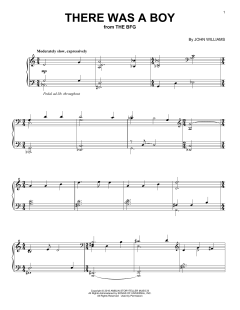There Was A Boy von John Williams (Download) 