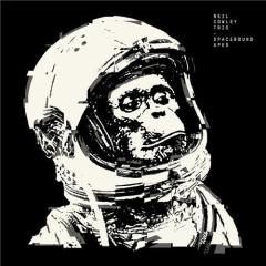 The City And The Stars von Neil Cowley Trio (Download) 