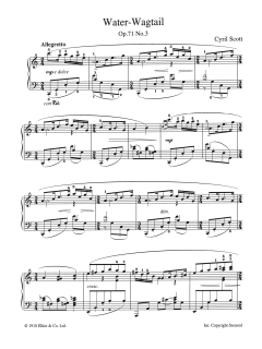 Water-Wagtail Op. 71 No. 3 von Cyril Scott (Download) 