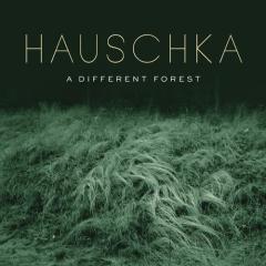 Dew And Spiderwebs von Hauschka (Download) 