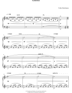 Ghosts von Hauschka (Download) 