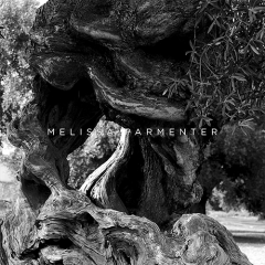 Locorotondo von Melissa Parmenter (Download) 