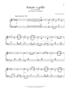 Amore O Grillo (Download) 