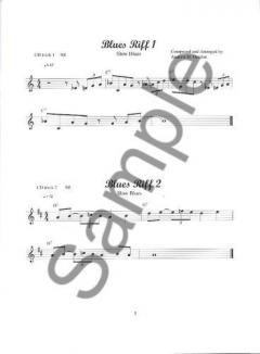 100 Ultimate Blues Riffs for Flute 
