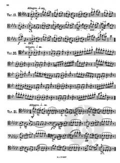 40 Variationen Op. 3 von Otakar Ševčík 