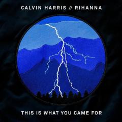 This Is What You Came For von Rihanna (Download) 