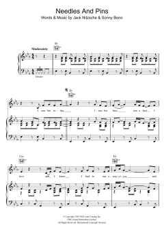 Needles And Pins von The Searchers (Download) 