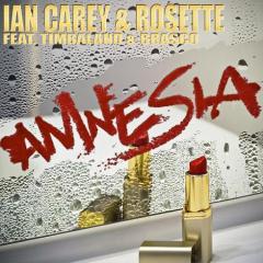 Amnesia (featuring Timbaland and Brasco) (Download) 