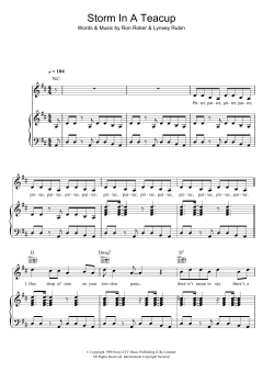 Storm In A Teacup von David Nevue (Download) 