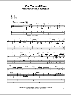 Cat Turned Blue von Rusted Root (Download) 