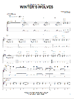 Winter's Wolves von The Sword (Download) 