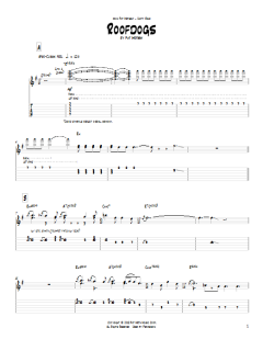 Roofdogs von Pat Metheny (Download) 