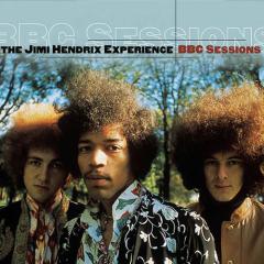 Can You Please Crawl Out Your Window? von Jimi Hendrix (Download) 