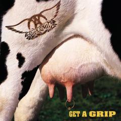 Flesh von Aerosmith (Download) 