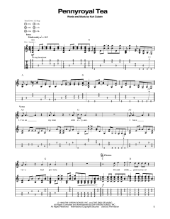 Pennyroyal Tea von Nirvana (Download) 