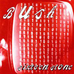 Monkey von Bush (Download) 
