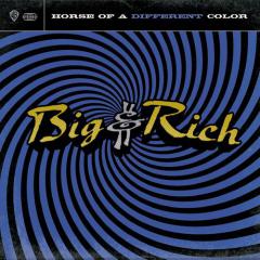 Save A Horse (Ride A Cowboy) von John Rich (Download) 