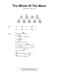 The Whole Of The Moon von The Waterboys (Download) 