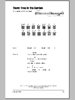 Thorn Tree In The Garden von Eric Clapton (Download) 