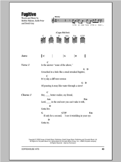 Fugitive von David Gray (Download) 