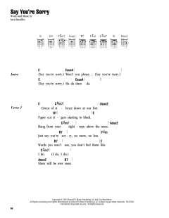 Say You're Sorry von Sara Bareilles (Download) 