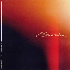Señorita (Download) 