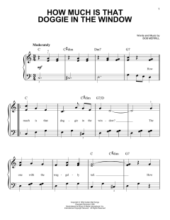 How Much Is That Doggie In The Window von Patti Page (Download) 