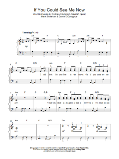 If You Could See Me Now von The Script (Download) 