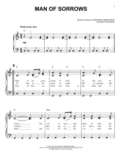 Man Of Sorrows von Brooke Ligertwood (Download) 