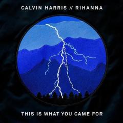 This Is What You Came For von Calvin Harris (Download) 