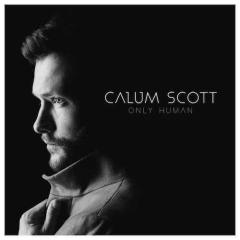 Dancing On My Own von Calum Scott (Download) 