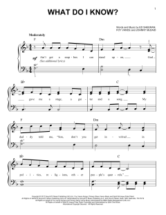 What Do I Know? von Ed Sheeran (Download) 