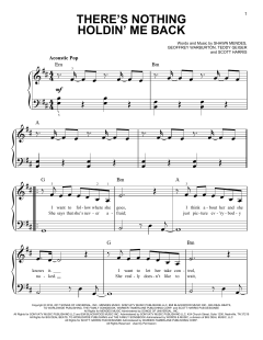 There's Nothing Holdin' Me Back von Shawn Mendes (Download) 