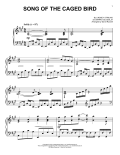 Song Of The Caged Bird von Lindsey Stirling (Download) 