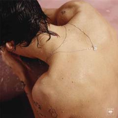 Carolina von Harry Styles (Download) 