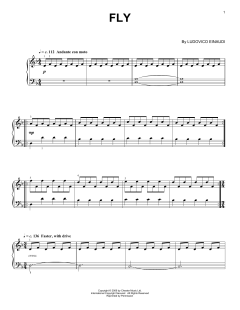 Fly (Download) 