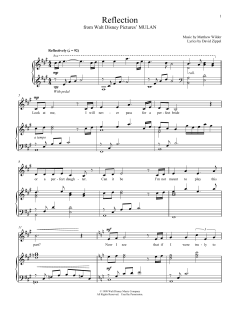 Reflection von David Zippel (Download) 