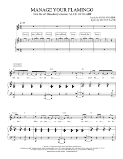 Manage Your Flamingo von Duncan Sheik (Download) 