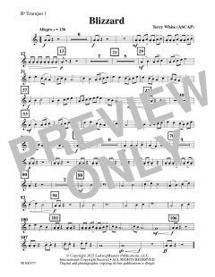 Blizzard von Terry White (Download) 
