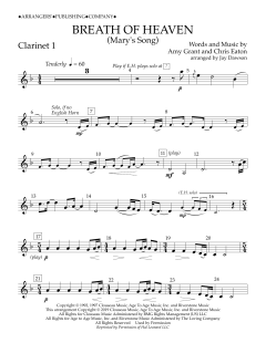 Breath of Heaven (Mary's Song) von Amy Grant (Download) 