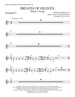 Breath of Heaven (Mary's Song) von Amy Grant (Download) 
