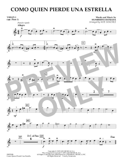 Como Quien Pierde Una Estrella von Delia Estrada (Download) 