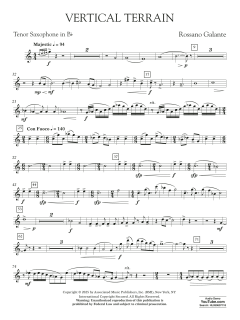Vertical Terrain von Rossano Galante (Download) 